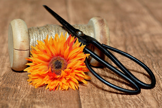 From Ancient Origins to Modern Innovations: The Evolution of Fabric Scissors